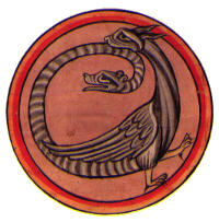 Amphisbaena